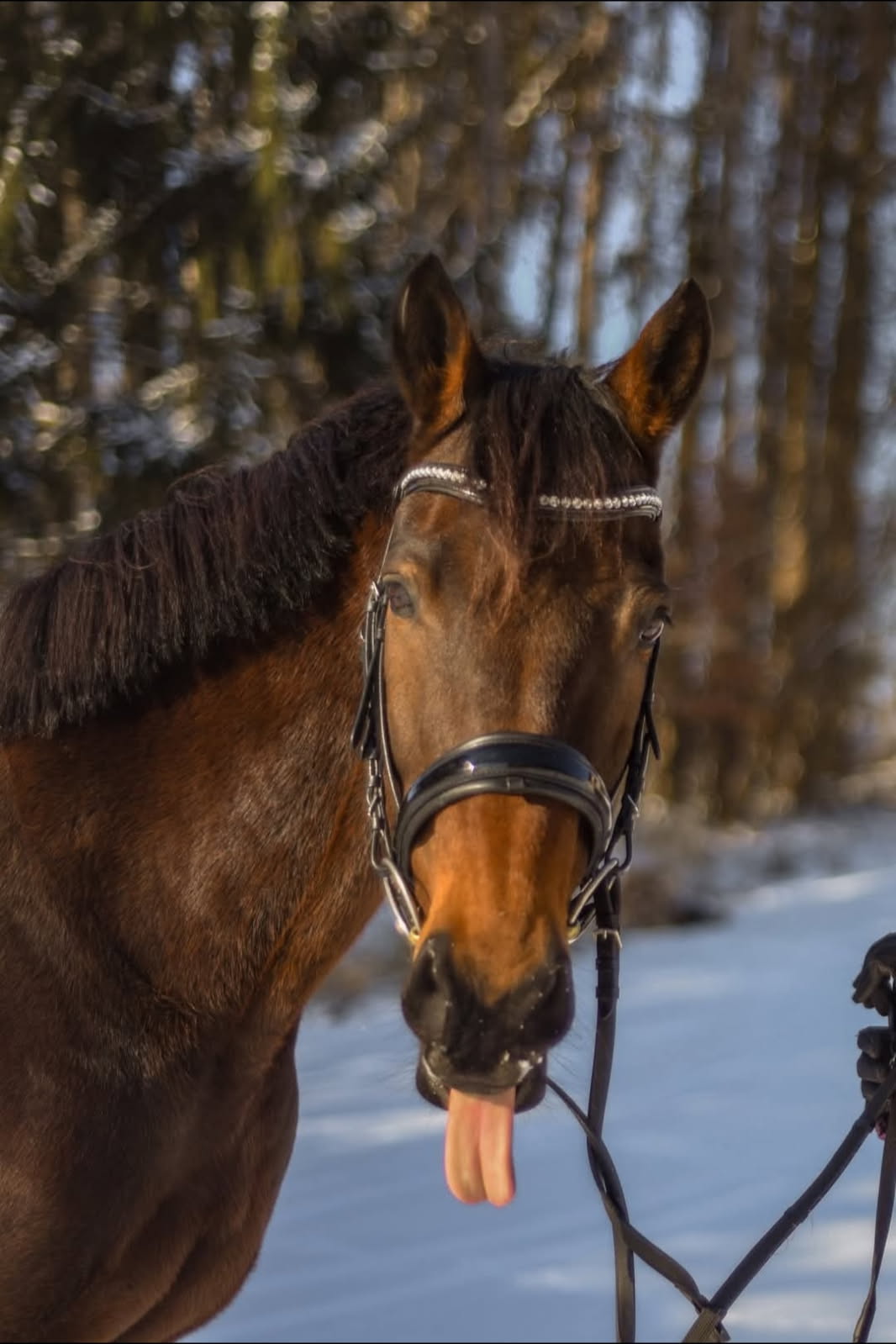 Donnie sticks his tongue out.